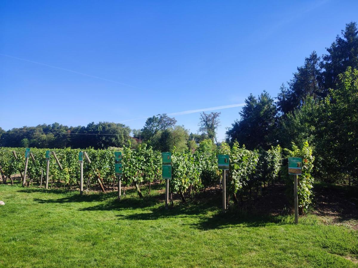 Hébergement de vacances Alsace & Meyer-krumb Sigolsheim